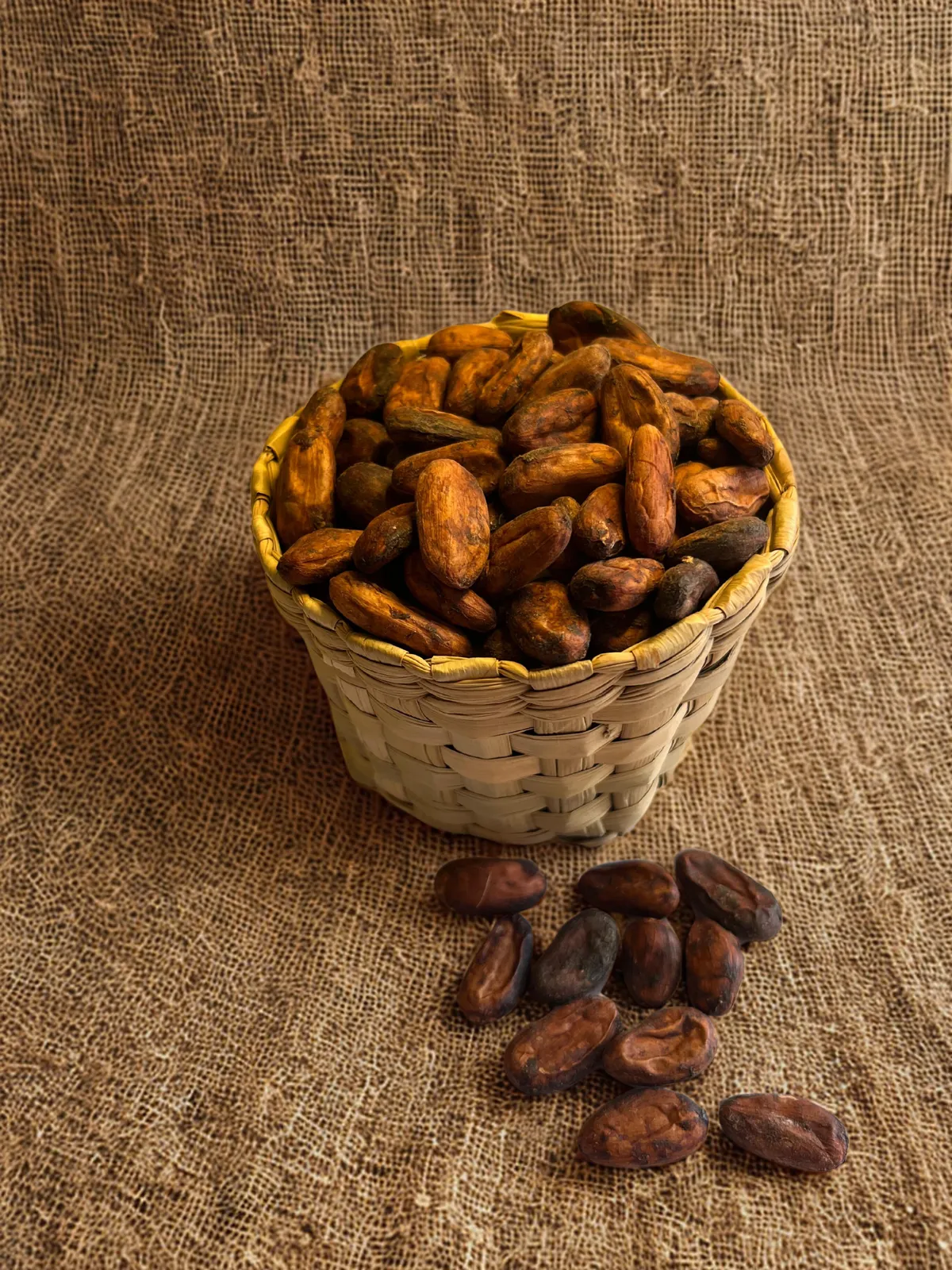 Cacao en grano lavado